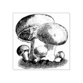 paddenstoelen rubberstempel (Afrduk)
