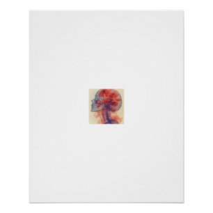 Paddenstoelen Schedel Röntgen Anatomie Kunst Perfect Poster
