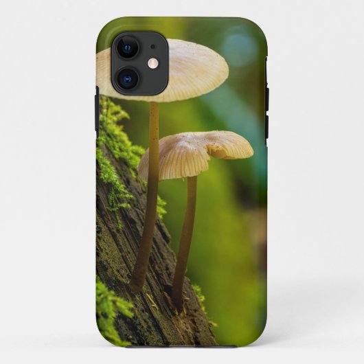 Paddenstoelen, schimmels, mossen Case-Mate iPhone case (Achterkant)