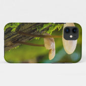 Paddenstoelen, schimmels, mossen Case-Mate iPhone case (Achterkant (horizontaal))