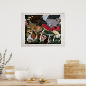 Paddenstoelen schimmels poster (Keuken)