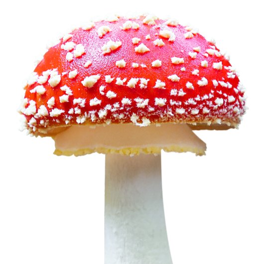 paddenstoelen schort