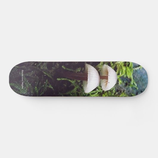 paddenstoelen skateboard (Horizontaal)
