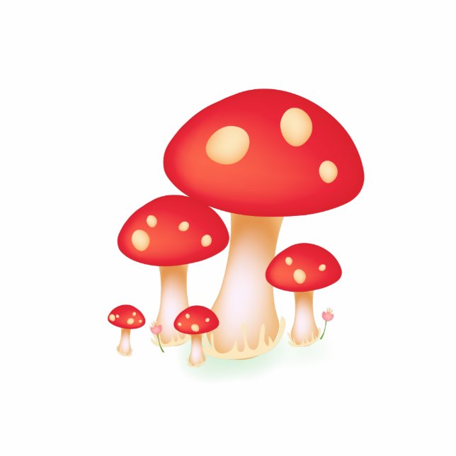 paddenstoelen staand fotobeeldje  (Voorkant)