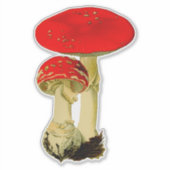 paddenstoelen sticker (Voorkant)
