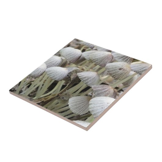 Paddenstoelen Tegeltje (Zijkant)