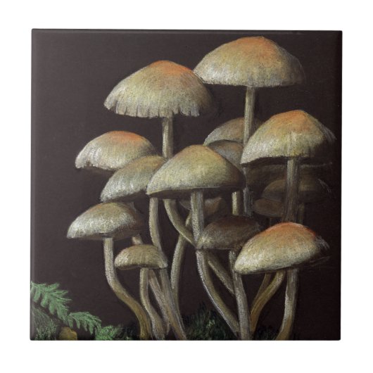 paddenstoelen tegeltje (Voorkant)
