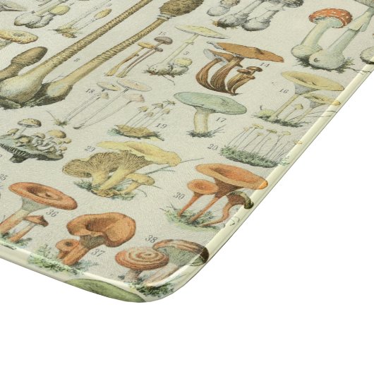 Paddenstoelen uitsnijderij snijplank (Hoek)