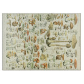 Paddenstoelen uitsnijderij snijplank (Voorkant)