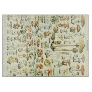 Paddenstoelen uitsnijderij snijplank