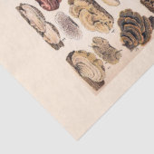  paddenstoelen van Adolphe Millot Tissuepapier (Detail)