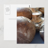 paddenstoelen van crimini briefkaart (Voorkant / Achterkant)