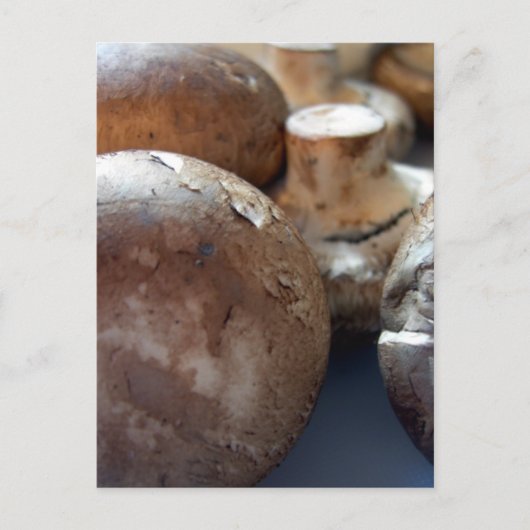 paddenstoelen van crimini briefkaart (Voorkant)