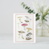 Paddenstoelen van de Beech Bossen Illustratie Briefkaart (Staand voorkant)