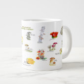 Paddenstoelen van Vermont (eetbaar en medicinaal) Grote Koffiekop (Voorkant rechts)