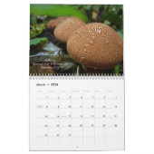 Paddenstoelen van Western Oregon, 2011 Kalender (Mar 2026)