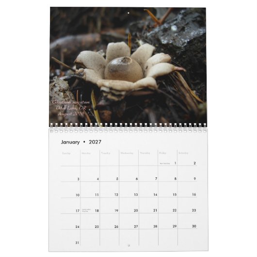 Paddenstoelen van Western Oregon, 2011 Kalender (Jan 2027)