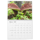 Paddenstoelen van Western Oregon, 2011 Kalender (Feb 2027)