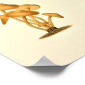 paddenstoelen Varieties Kunst drukken Rood Groen Poster (Hoek)