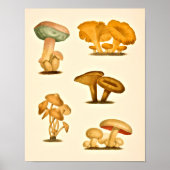  paddenstoelen Varieties Kunst drukken Rood Groen Poster (Voorkant)