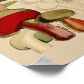  paddenstoelen Varieties Rode groene kunst afdrukk Poster (Hoek)