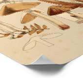 paddenstoelen Varieties Rode Oranje kunst afdrukk Poster (Hoek)