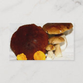 paddenstoelen visitekaartje (Achterkant)