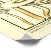 paddenstoelen White Fungus French Art Print (Hoek)