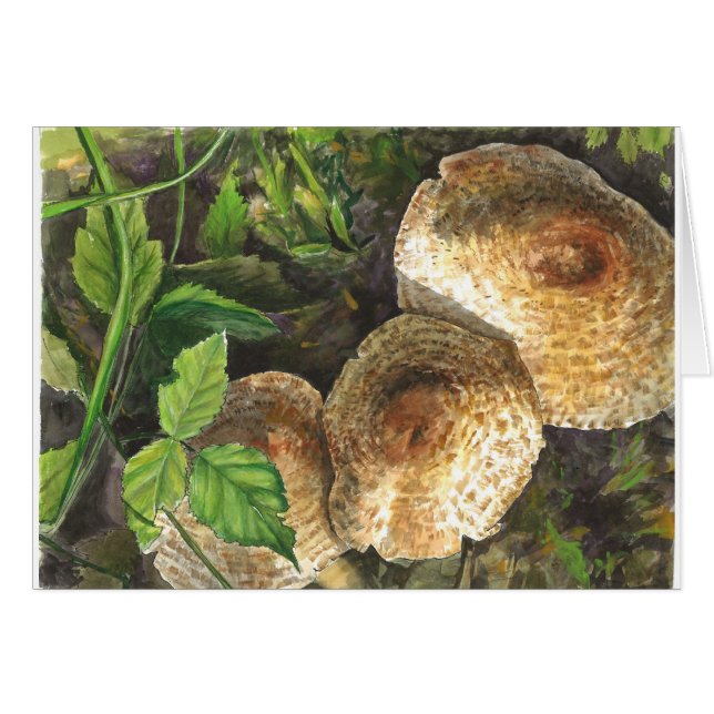 Paddenstoelen zijn altijd aantrekkelijk voor de og (Voorkant Horizontaal)