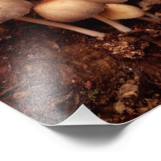 Paddenstoelenfamilie Foto Afdruk (Hoek)