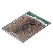 Paddenstoelenjournaal Notitieboek (Linkerzijde)