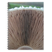 Paddenstoelenjournaal Notitieboek (Voorkant)