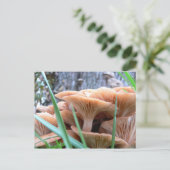 paddenstoelenkaart briefkaart (Staand voorkant)
