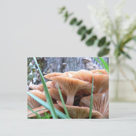 paddenstoelenkaart briefkaart (Staand voorkant)