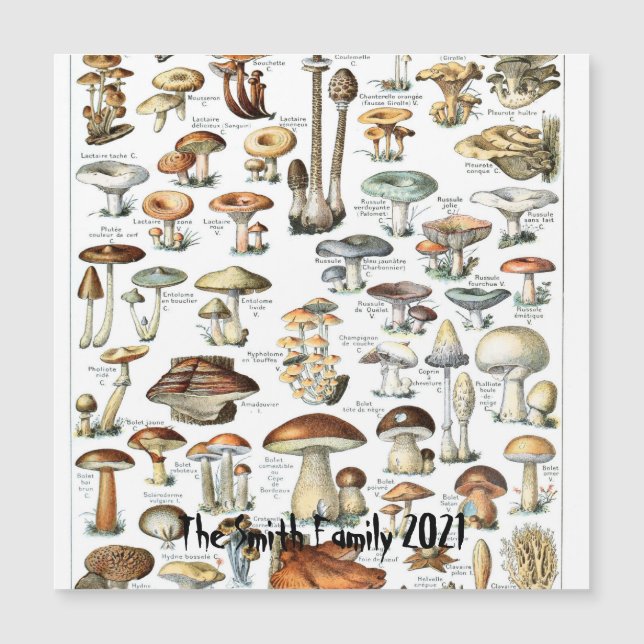  paddenstoelenkaart Fungus Art Illustratie (Voorkant)