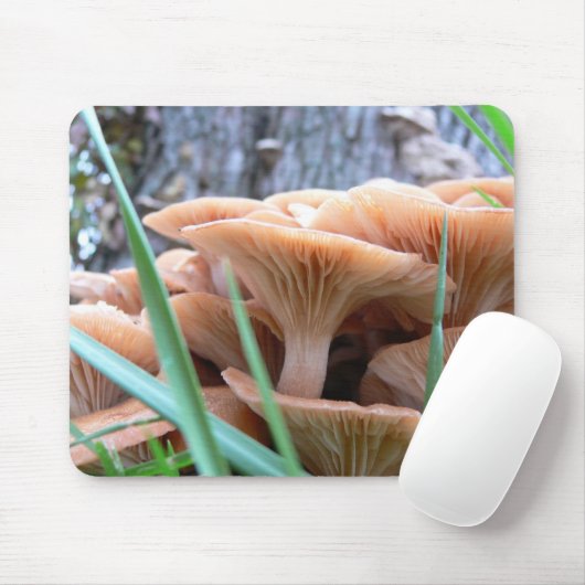 paddenstoelenkaart muismat (Met muis)