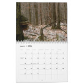 Paddenstoelenkalender Kalender (Mar 2026)