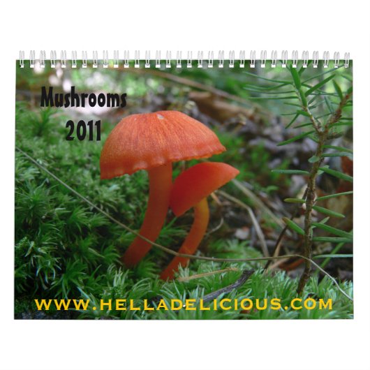 Paddenstoelenkalender Kalender (Hoes)