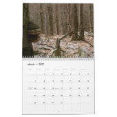 Paddenstoelenkalender Kalender (Mar 2027)