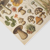 paddenstoelenkast ontkoppelen tissuepapier (Detail)