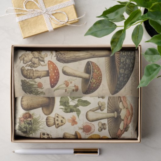  paddenstoelenkast ontkoppelen tissuepapier (Geschenk)