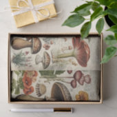  paddenstoelenkast ontkoppelen tissuepapier (Geschenk)