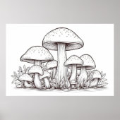 Paddenstoelenschets Poster (Voorkant)