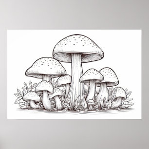 Paddenstoelenschets Poster