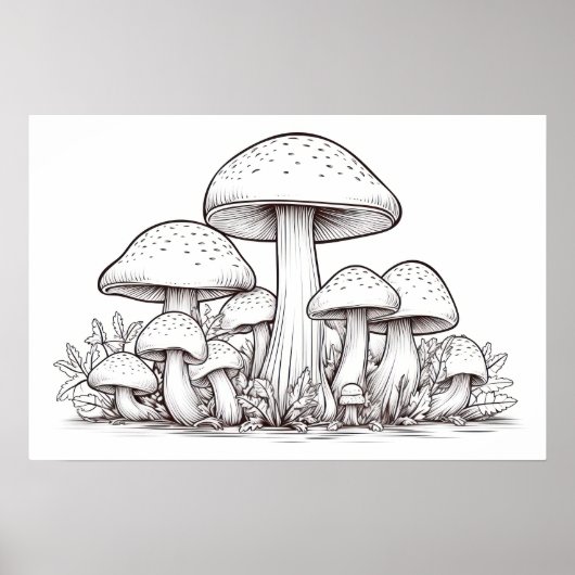Paddenstoelenschets Poster (Voorkant)