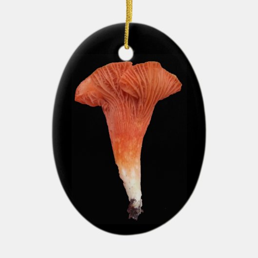 Paddenstoelenversier Keramisch Ornament (Voorkant)