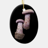 Paddenstoelenversier Keramisch Ornament (Achterkant)