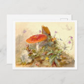  paddenstoelenweide briefkaart (Voorkant / Achterkant)