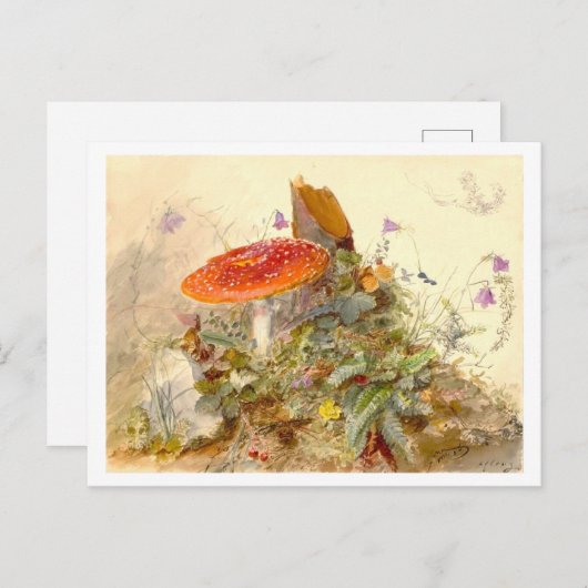  paddenstoelenweide briefkaart (Voorkant / Achterkant)