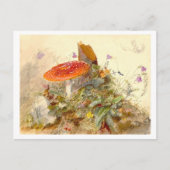 paddenstoelenweide briefkaart (Voorkant)
